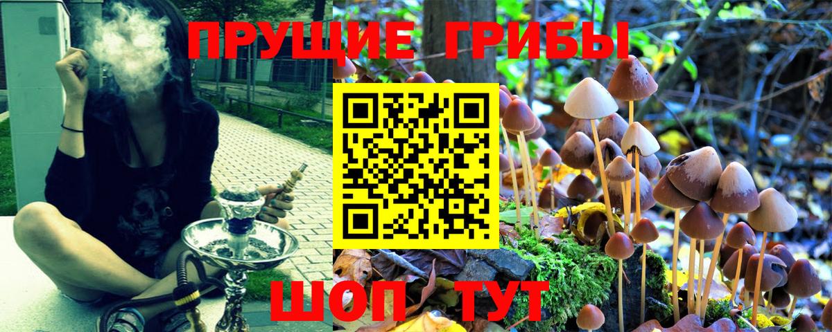 Солнечногорск  Галлюциногенные грибы прущие грибы  Вход с VPN 